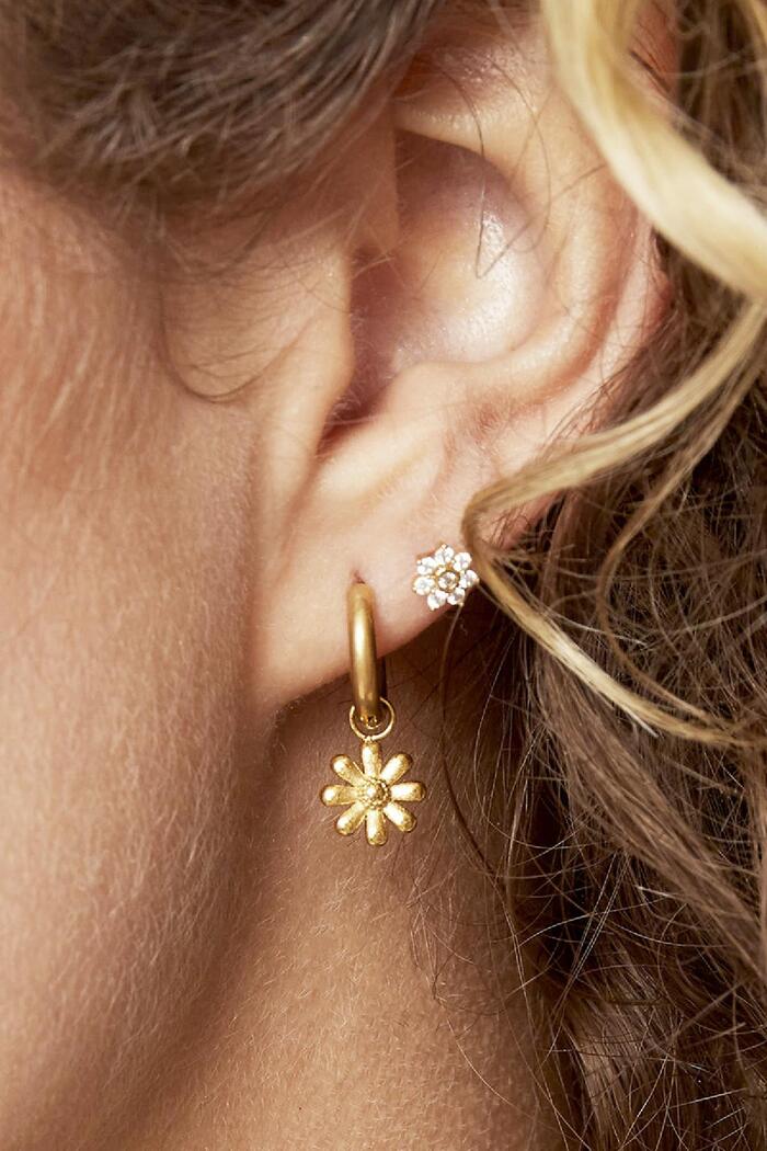 Earrings Little Daisy Gold Stainless Steel Picture3